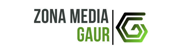 Zona Media Gaur